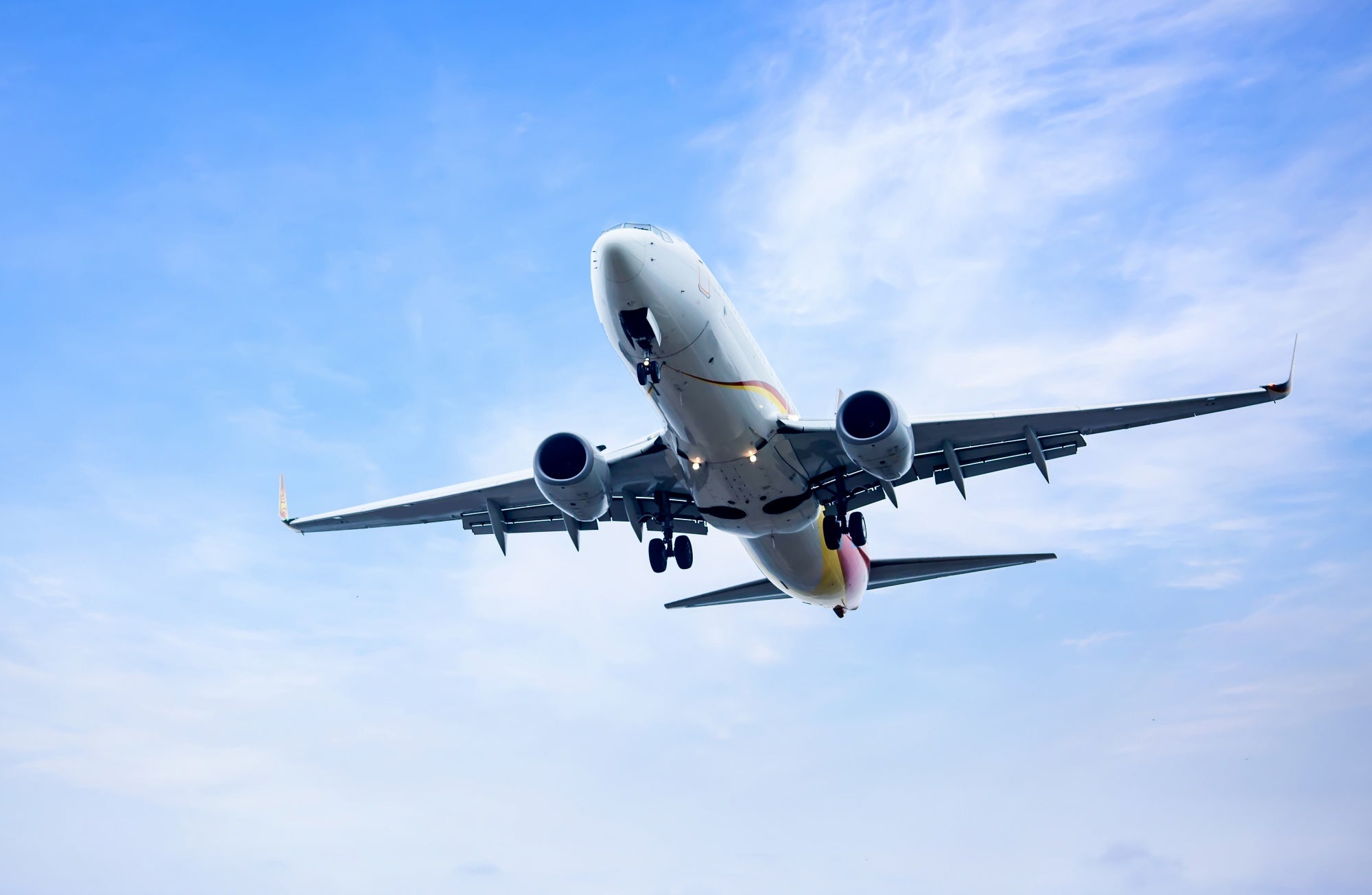 pet friendly airlines