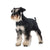 What Type of Dogs Are Perfect for People with Disabilities?