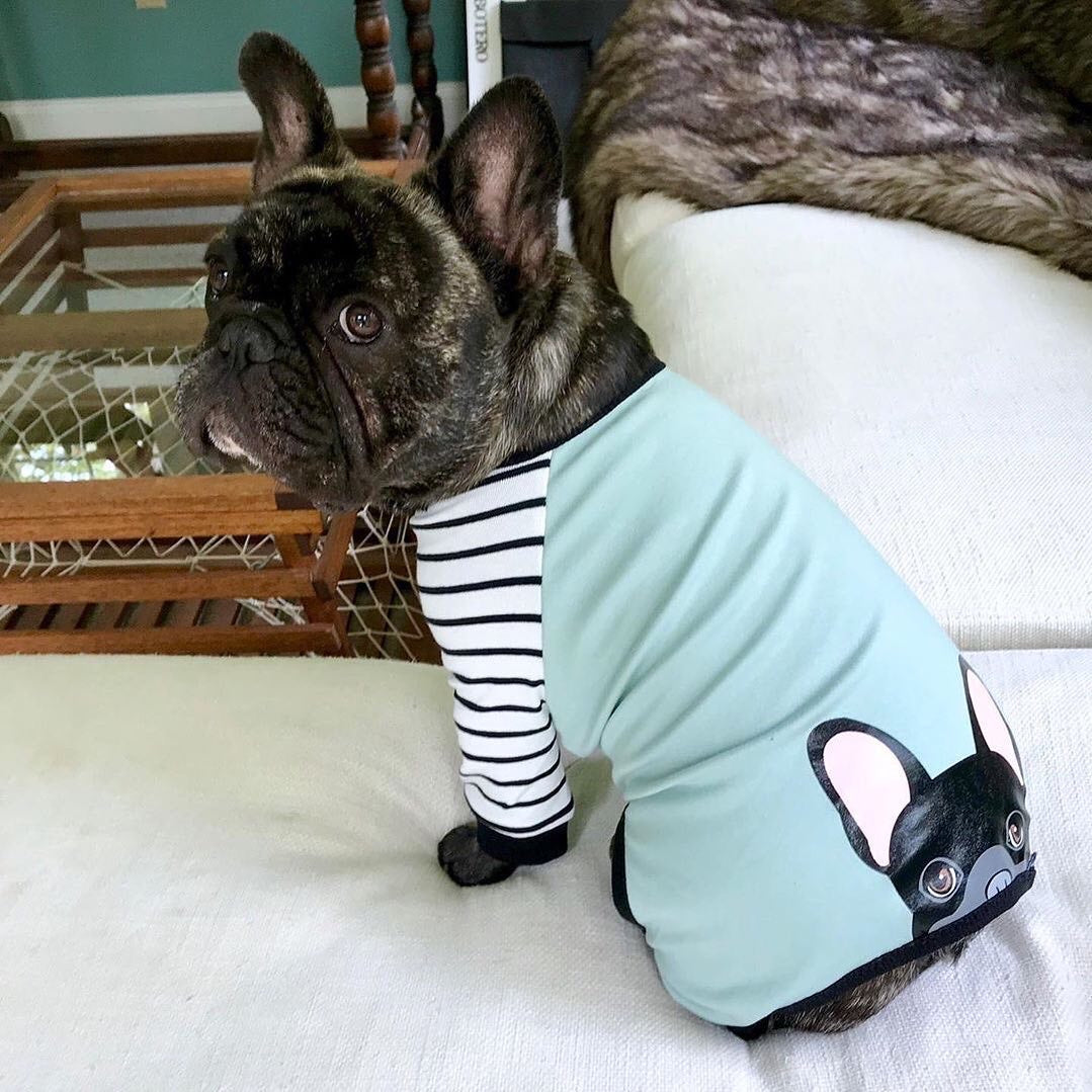 French Bulldog Pajamas | Frenchie Clothing | Black Frenchie dog, Frenchie Dog, French Bulldog pet products